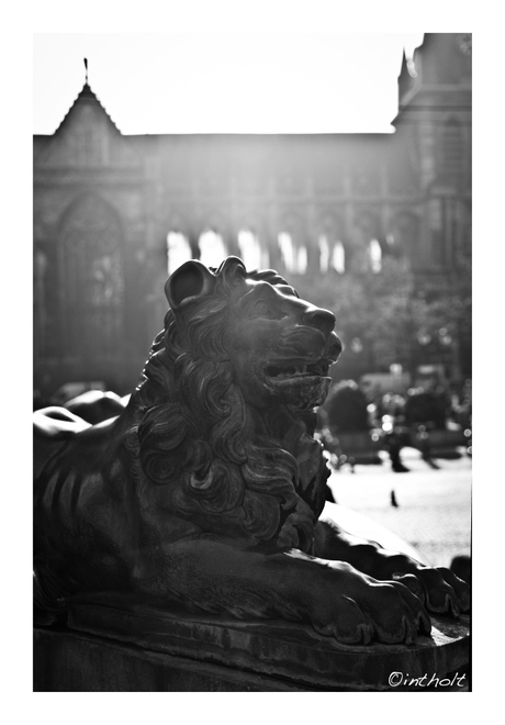 Liege in black&white 2