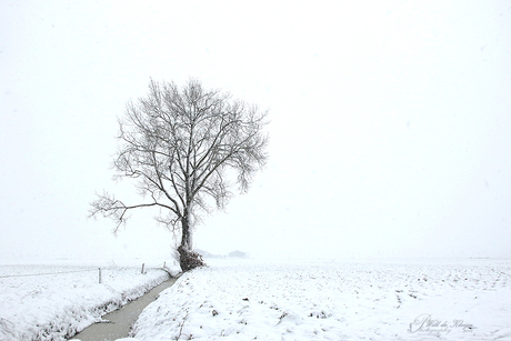 Winterlandschap