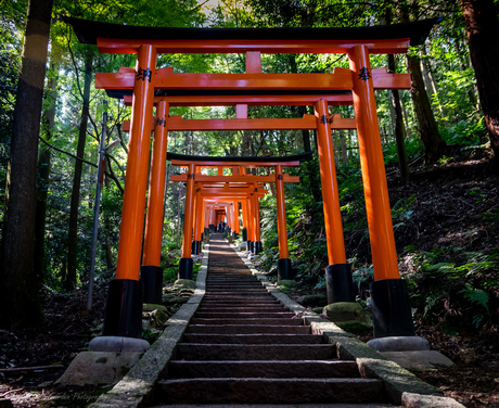 Endless torii gates