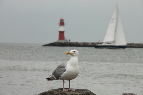 aan de kust...