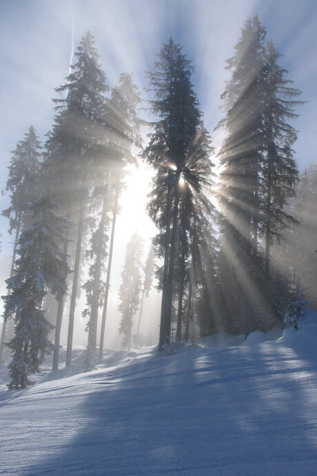 Winter in Oostenrijk