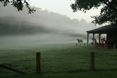 vroeg in de ochtend