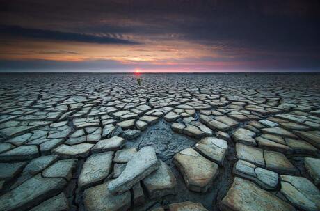 De droogte