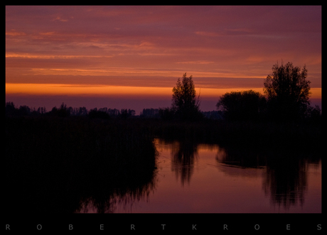 Zonsondergang Oostvaardersplassen