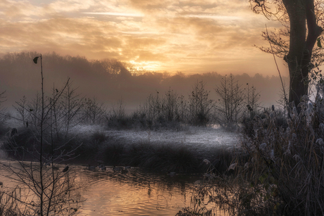 Wintermorgen