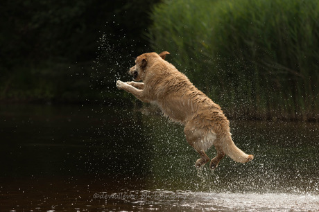 Miley's jump