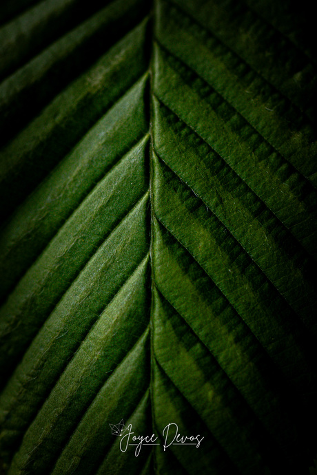 Abstract