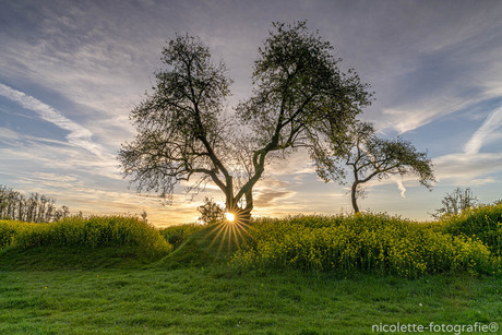 Sunrise Werk aan de Groeneweg