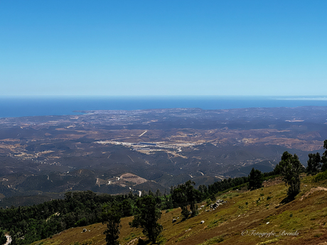 Monchique berg 