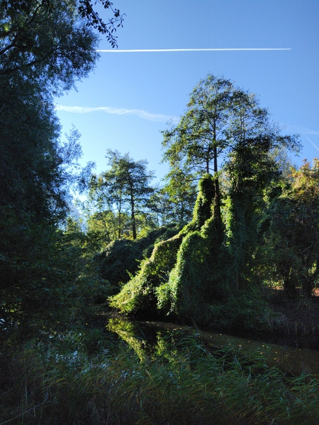 In de zon zitten