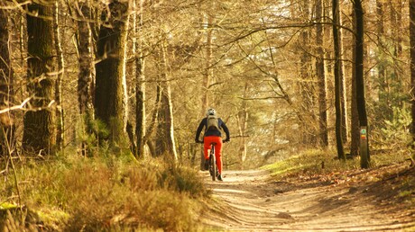 Mountainbike in het bos