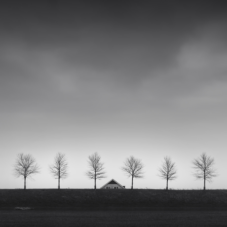 Dutch Polder - Behind the Dike