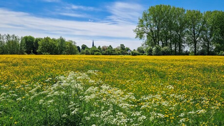 Omgeving Aerdt
