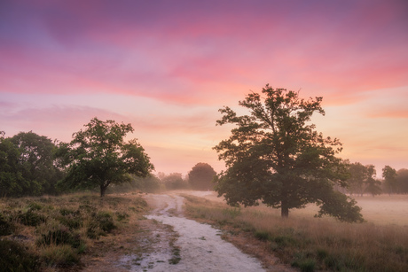 Early morning