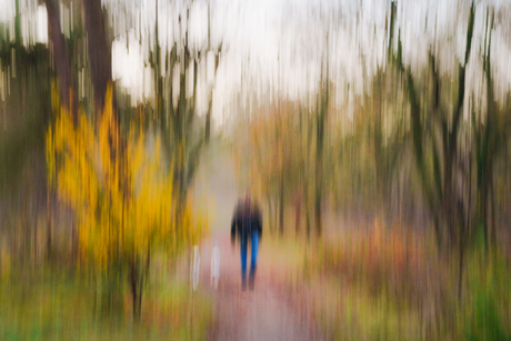 Herfst in Beweging