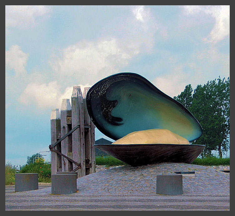 mossel Bruinisse - foto van Ivy - Diversen - Zoom.nl