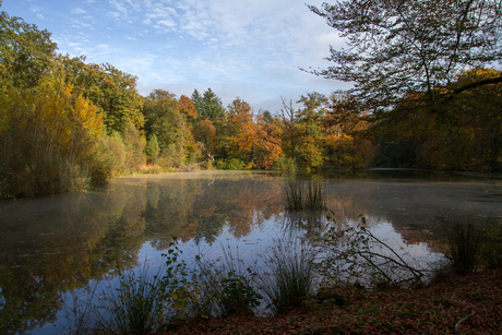 De herfst was prachtig