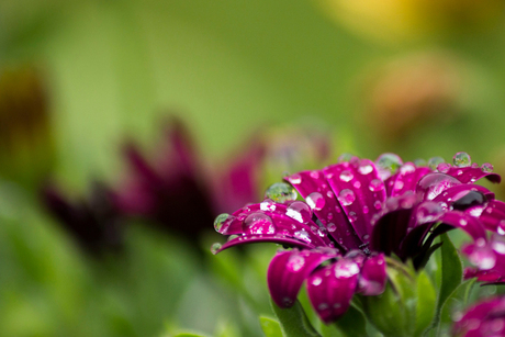 Tiny reflections