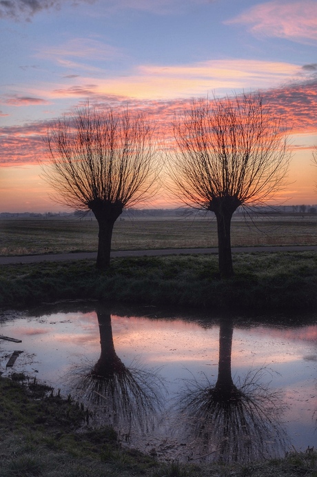 Winter polder