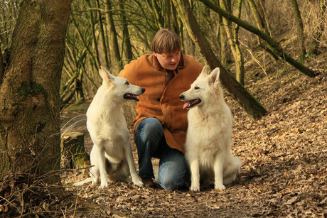 Man met zijn honden