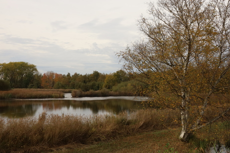 Herfstkleuren - 2