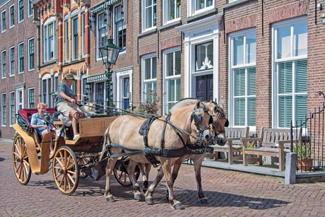 Met de paardenwagen