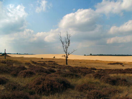 Park Hoge Veluwe