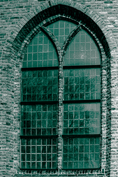 In de schaduw van het gesternte