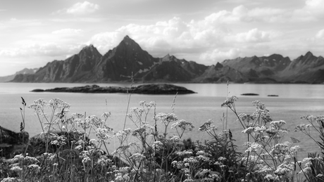 Lofoten (N)