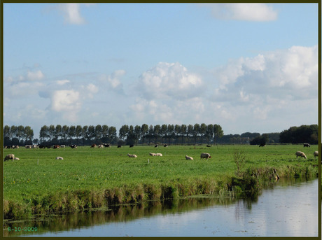 Polder.