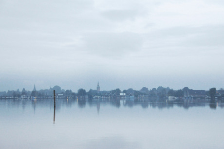 Nieuwkoopse plassen in de vroege ochtend