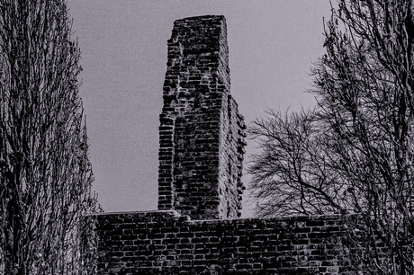 In de schaduw van het gesternte