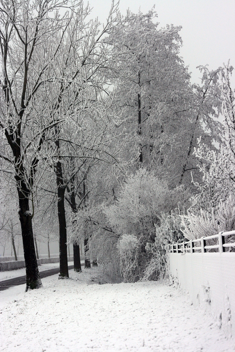 Winterlandschap