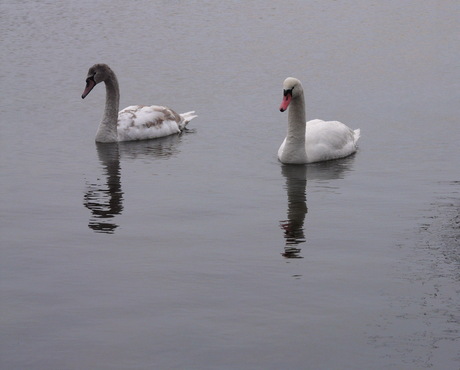 Uit het archief 2010