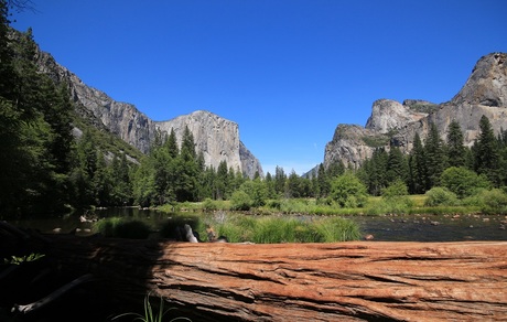 Yosemite National Park