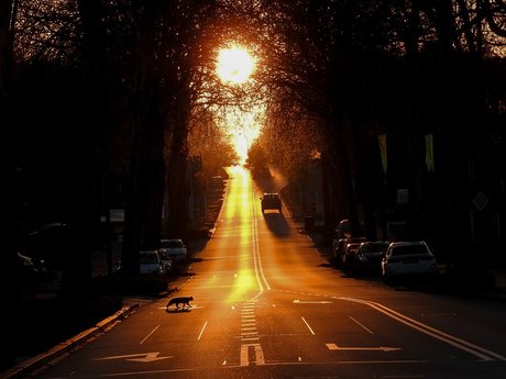 Zonsondergang 