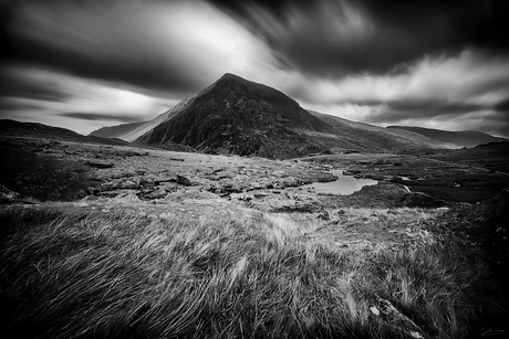 Lynn Idwal (Wales)