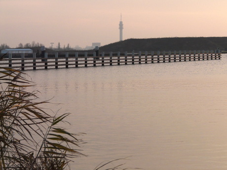 Uit het archief 2010