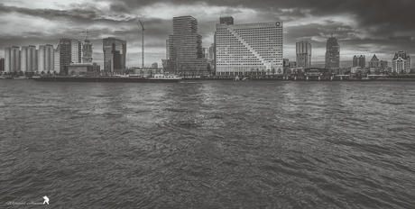Rotterdam on the Maas
