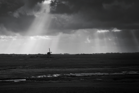 Stilte van de polder