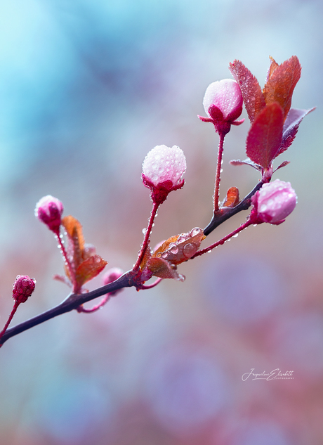 The future is made of hope.