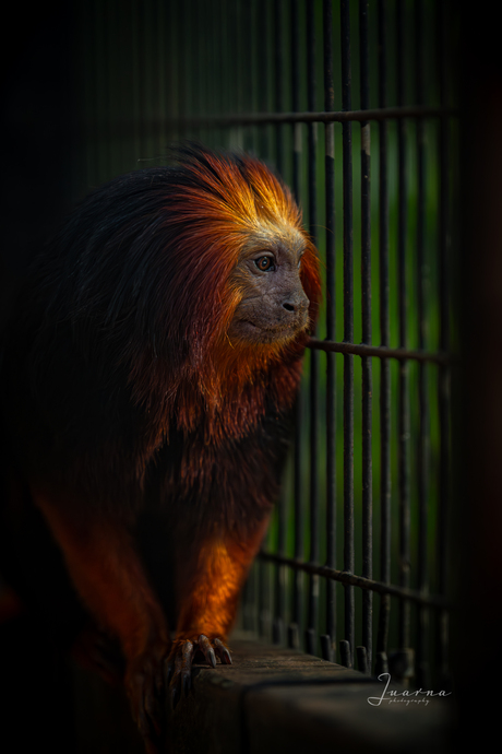 A penny for his thoughts…….