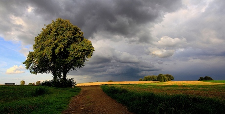 Op de Kollenberg