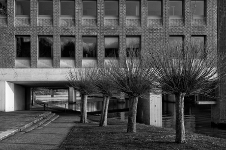 architectuur maastricht 047 mono