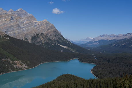 Peyto Lake