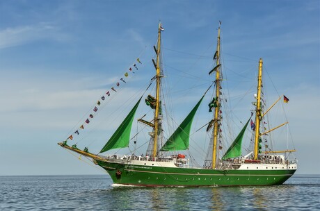 Alexander von Humboldt II