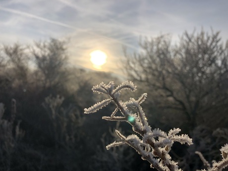 Winter in De Duinen