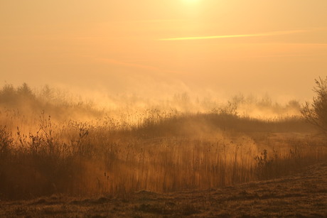 Wellerwaard ochtendgloren