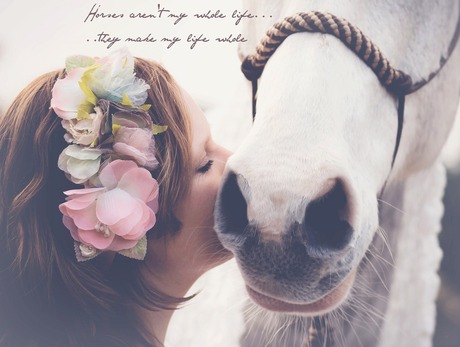 paardenliefde
