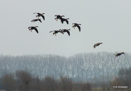 Landingsgestel uit